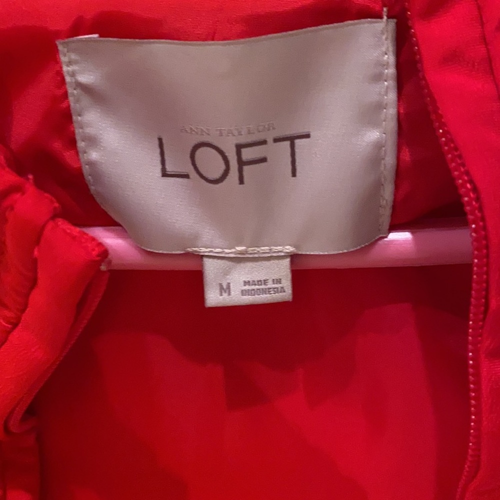 Red Vest - Picture 2 of 5